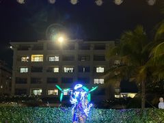 -渔家火锅·海鲜自助餐·演艺(亚龙湾天域酒店)