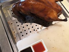 -百姓渔村(南中环店)