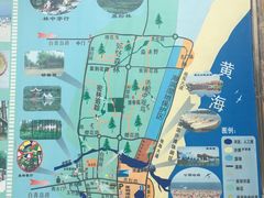 -日照海滨国家森林公园