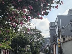 -三溪村