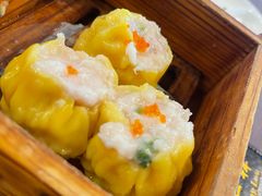 -韩上楼