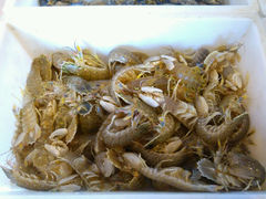 android_upload_pic-水浒人家·胶东海鲜家常菜(高区店)