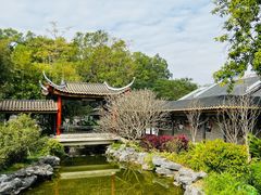 -顺峰山公园