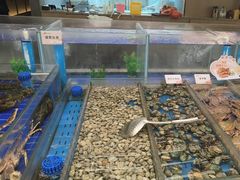 -船歌·鱼水饺青岛菜(闽江二路店)