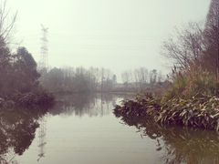 -桤木河湿地公园