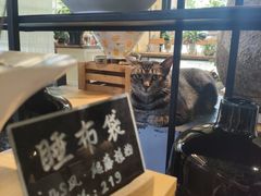 -弗劳尔花艺坊(龙涛店)