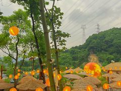 -伴山茶苑·一盏冰茶·半日山居