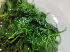 -海金滋(陕西南路店)