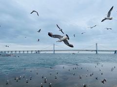 -星海广场