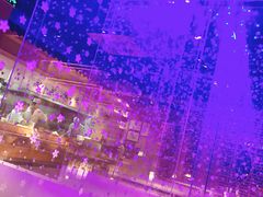 -琴寿司居酒屋(中山广场店)