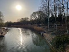 -大兴滨河森林公园