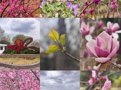 -燕郊植物园