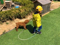 -萌宠亲子动物乐园(槐房万达店)