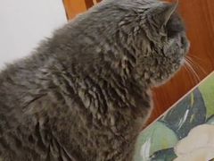 -Rabbit Cafe私房西餐甜点咖啡(栖霞路店)