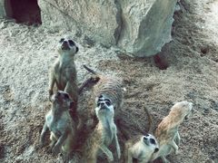 -广州融创文旅城