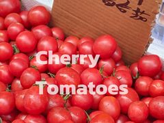 -东川新街市(东川市场店)