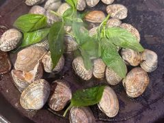 -花环泰拳·勒德斯拉泰拳馆(静安店)