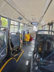 -卡通尼·Safari非洲探索乐园·生日会(金桥国际商业广场店)