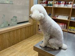 -瑞派名望24h动物医院异宠专科·猫专科·骨科·重症监护分院