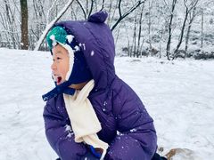 -秦岭终南山世界地质公园翠华山景区
