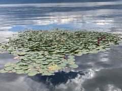-大理洱海