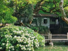 -惠山古镇·寄畅园