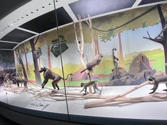 -陕西自然博物馆