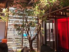 -星·South Beauty·俏江南(国贸店)