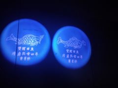-白鹤梁水下博物馆