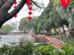 -荔湾湖公园