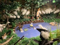 -酷嗒动物文化乐园(cutezoo西溪乐天城店)