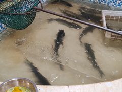 -锅老头铁锅炖•大锅蒸汽海鲜(韩乐坊店)