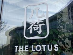 -几荷·恰似故人来(秀水广场店)