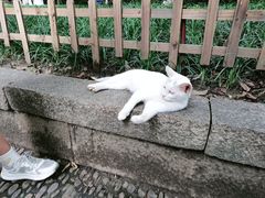 -西园戒幢律寺