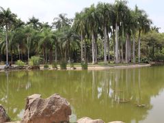 -中国科学院西双版纳热带植物园