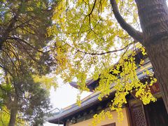 -西园戒幢律寺