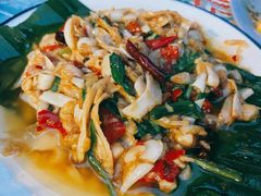 -半坡九号老挝冰咖啡