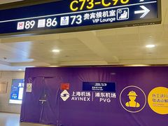 -上海浦东国际机场-T2航站楼