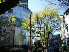 -佰搭果·广式茶餐厅(西华路店)