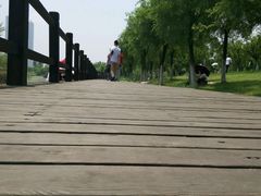 android_upload_pic-艾溪湖湿地公园