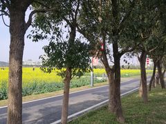 -光明小镇欢乐田园