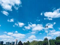 -采芝斋评弹茶馆(观前街店)