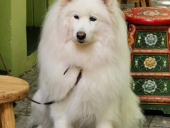 -CAFE CHEZ W一木家(香山路店)