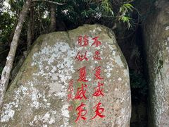 -亚龙湾热带天堂森林公园