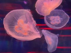 -石林冰雪海洋世界