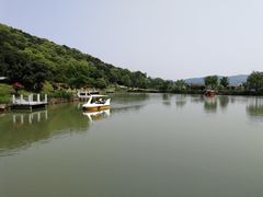 -龙寺生态园