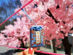 -金茂览秀城