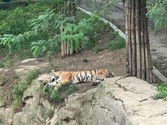 -大连森林动物园