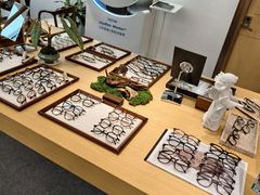 -Eziwish眼镜·蔡司授权店