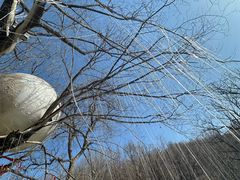-吉林市朱雀山国家森林公园